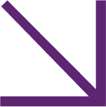vector-arrow